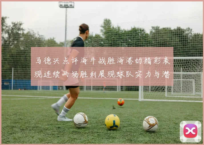 马德兴点评海牛战胜海港的精彩表现连续两场胜利展现球队实力与潜力