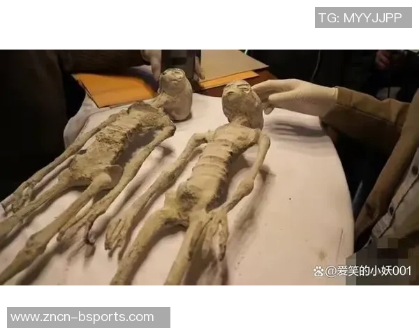 汤爹揭秘文班背景或与外星文明有联系的惊人真相